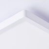 Brilliant LED ceiling light Tanida, remote dimmable, adjustable 3000-6500 Kelvin