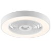 Brilliant LED ceiling fan Catania, adjustable colour temperature 2700-6500 Kelvin