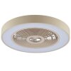 Brilliant flat LED ceiling fan Catania, adjustable colour temperature 2700-6500 Kelvin