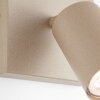 Brilliant Cylindrical Wall Spotlight Jello, swivelling, champagne, 3000 Kelvin warm white