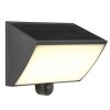 Brilliant LED Solar Wall Light Sierra, black, adjustable light colour 2700-6500 Kelvin