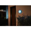 Philips Hue White & Color Ambiance Daylo Wall Light LED black, 1-light source