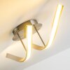 Aranu Ceiling Light LED stainless steel, matt nickel, 2-light sources