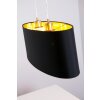 Eglo Maserlo hanging light matt nickel, 2-light sources