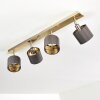 TIBRO Ceiling Light brass, matt nickel, 4-light sources