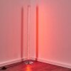 Flaut Floor Lamp LED chrome, 1-light source, Remote control, Colour changer