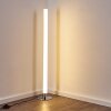 Flaut Floor Lamp LED chrome, 1-light source, Remote control, Colour changer