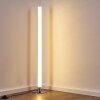 Flaut Floor Lamp LED chrome, 1-light source, Remote control, Colour changer