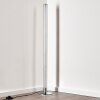 Flaut Floor Lamp LED chrome, 1-light source, Remote control, Colour changer