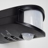 Motion sensor Mossa black