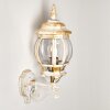 Lentua Outdoor Wall Light gold, white, 1-light source