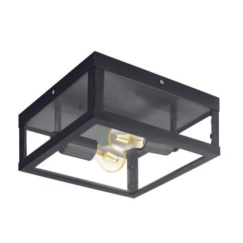 Eglo ALAMONTE 1 Ceiling Light black, 2-light sources