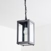 CAUDRY hanging lamp black, 1-light source