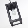 CAUDRY hanging lamp black, 1-light source