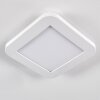 Siguna Ceiling Light LED white, 1-light source