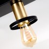 Alvesta Ceiling Light gold, brass, black, 3-light sources