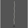 Leuchten-Direkt WAVE Floor Lamp LED black, 1-light source