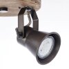 Spotlight Brilliant Seed Dark wood, black, 2-light sources