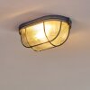 Catawba Ceiling Light grey, 1-light source
