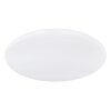 Globo RENA Ceiling Light LED white, 1-light source, Remote control, Colour changer
