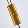 Airolo Pendant Light LED brass, 3-light sources