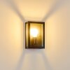 CAUDRY Outdoor Wall Light black, 1-light source