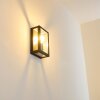 CAUDRY Outdoor Wall Light black, 1-light source