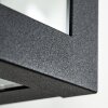 CAUDRY Outdoor Wall Light black, 1-light source