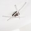 DENEB Ceiling light LED matt nickel, 3-light sources