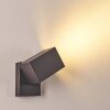 BREGENZ Outdoor Wall Light LED anthracite, 1-light source