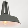 Steinhauer MEXLITE Pendant Light grey, 1-light source