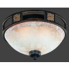 Trio 6081 ceiling light rust-coloured, 2-light sources