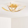 Aranu Ceiling Light LED gold, 4-light sources