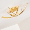 Aranu Ceiling Light LED gold, 4-light sources