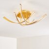 Aranu Ceiling Light LED gold, 4-light sources