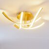 Aranu Ceiling Light LED gold, 4-light sources
