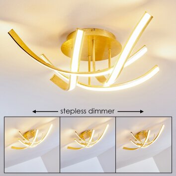 Aranu Ceiling Light LED gold, 4-light sources