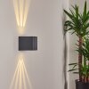 MAPUTO Outdoor Wall Light LED anthracite, 2-light sources