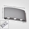 Abaiang Outdoor Wall Light LED silver, 6-light sources