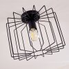 Chava Ceiling Light black, 1-light source