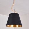 Saillon Pendant Light black, 1-light source