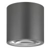 LCD TYP 065 Ceiling light grey, 1-light source