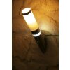 Brilliant Bole outdoor wall torch stainless steel, 1-light source, Motion sensor
