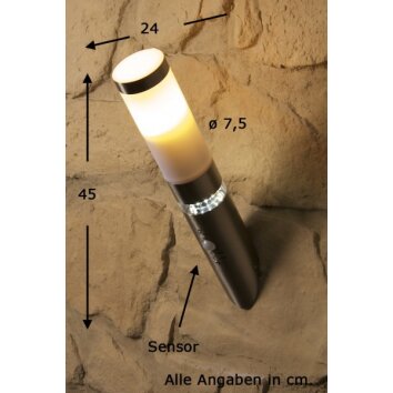 Brilliant Bole outdoor wall torch stainless steel, 1-light source, Motion sensor