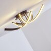 Aranu Ceiling Light LED rust-coloured, 4-light sources