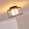 LEGANO Ceiling Light black, 1-light source