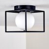 LEGANO Ceiling Light black, 1-light source