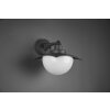 Trio DONEZ Wall Light anthracite, 1-light source