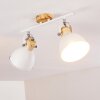 Banjul Ceiling Light Light wood, white, 2-light sources