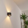 WINDHOEK Outdoor Wall Light LED, 2-light sources